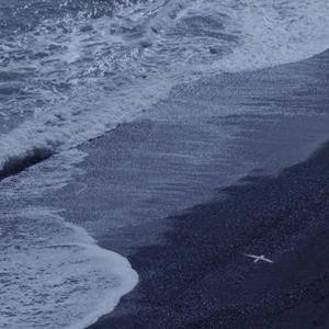 国产AV变态另类虐AV
